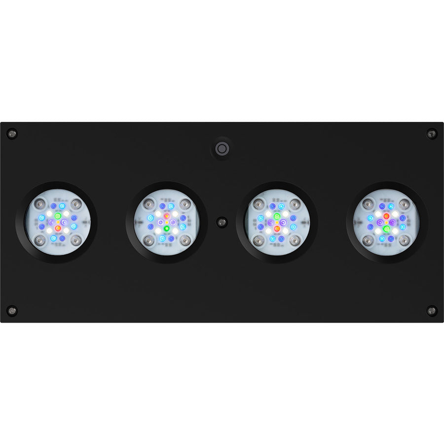 AI Hydra 64 HD LED Module - Black Body