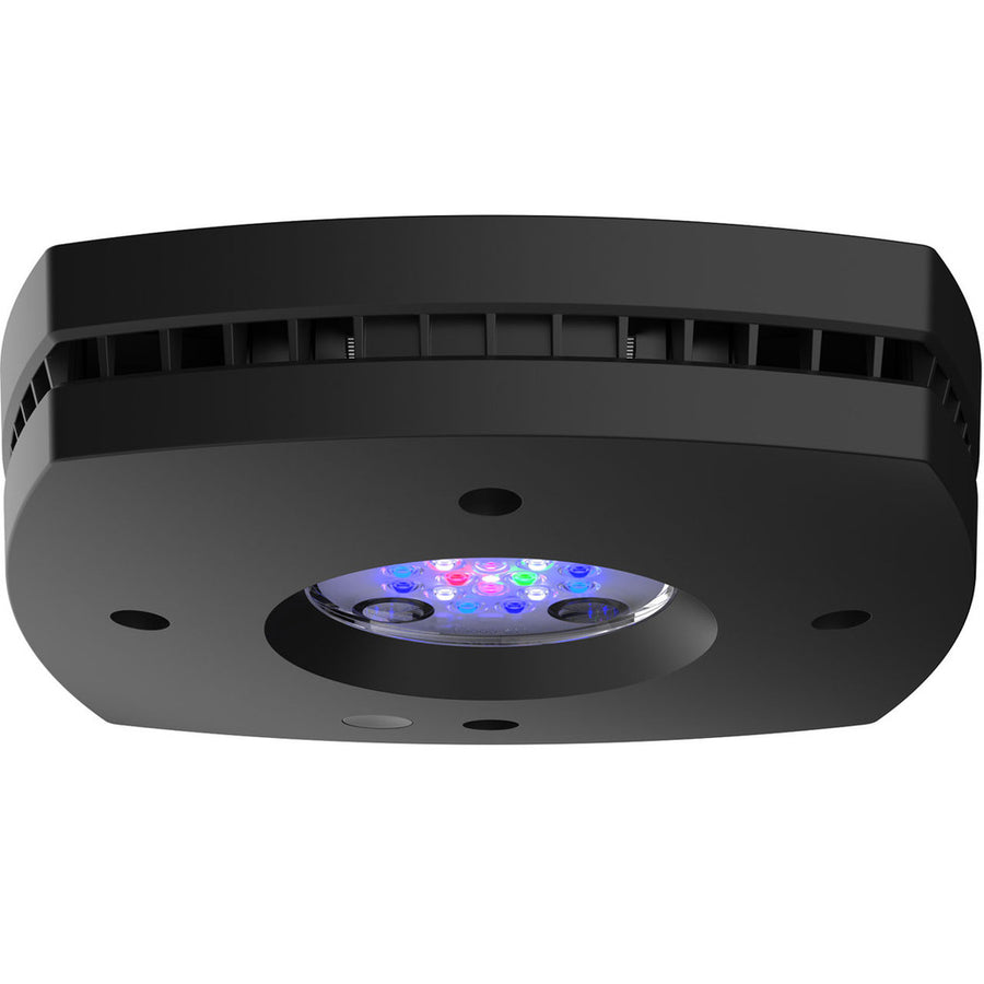 AI Hydra Prime 16 HD LED Module